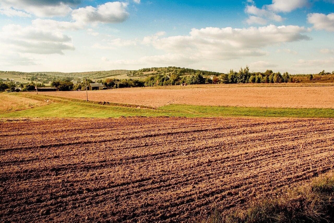 Udmurtia completes sowing of spring crops - Fertilizer Daily