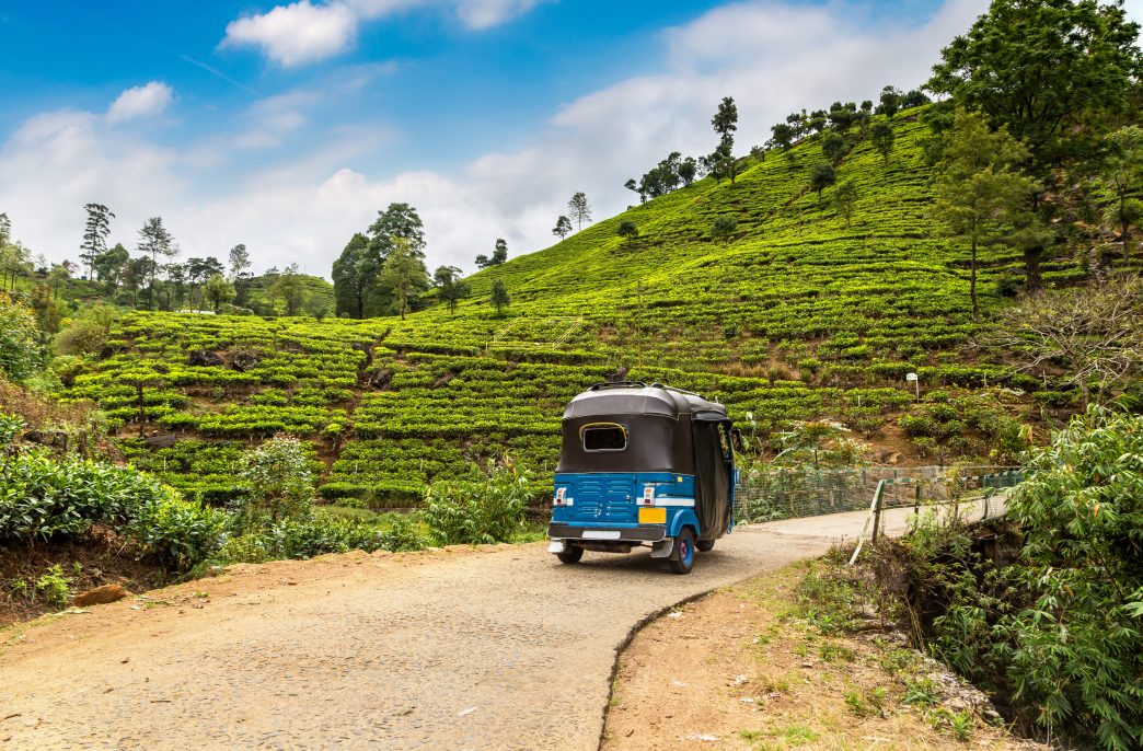 Tuk tuk at the Tea plantations in Nuwara Eliya, Sri Lanka