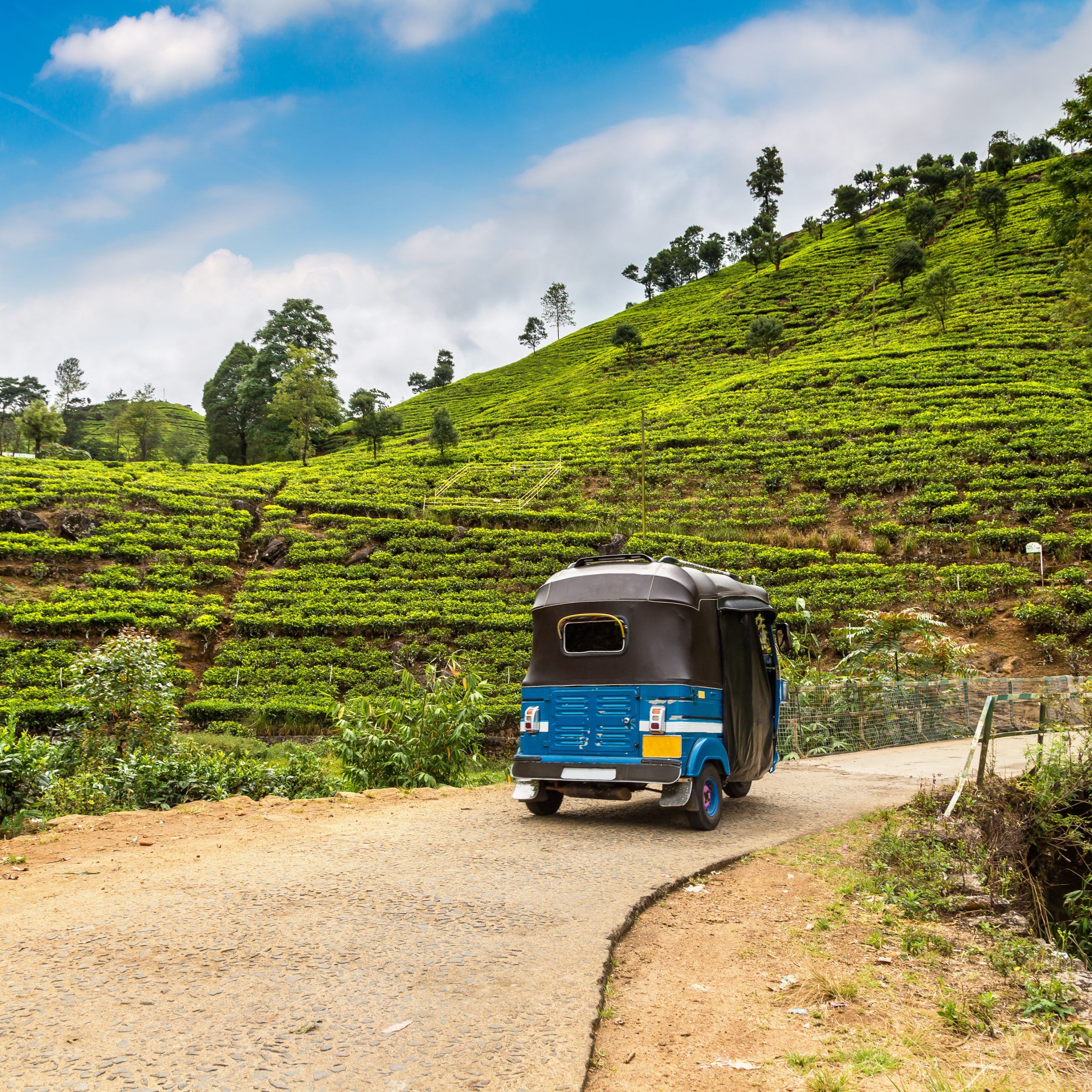 Tuk tuk at the Tea plantations in Nuwara Eliya, Sri Lanka