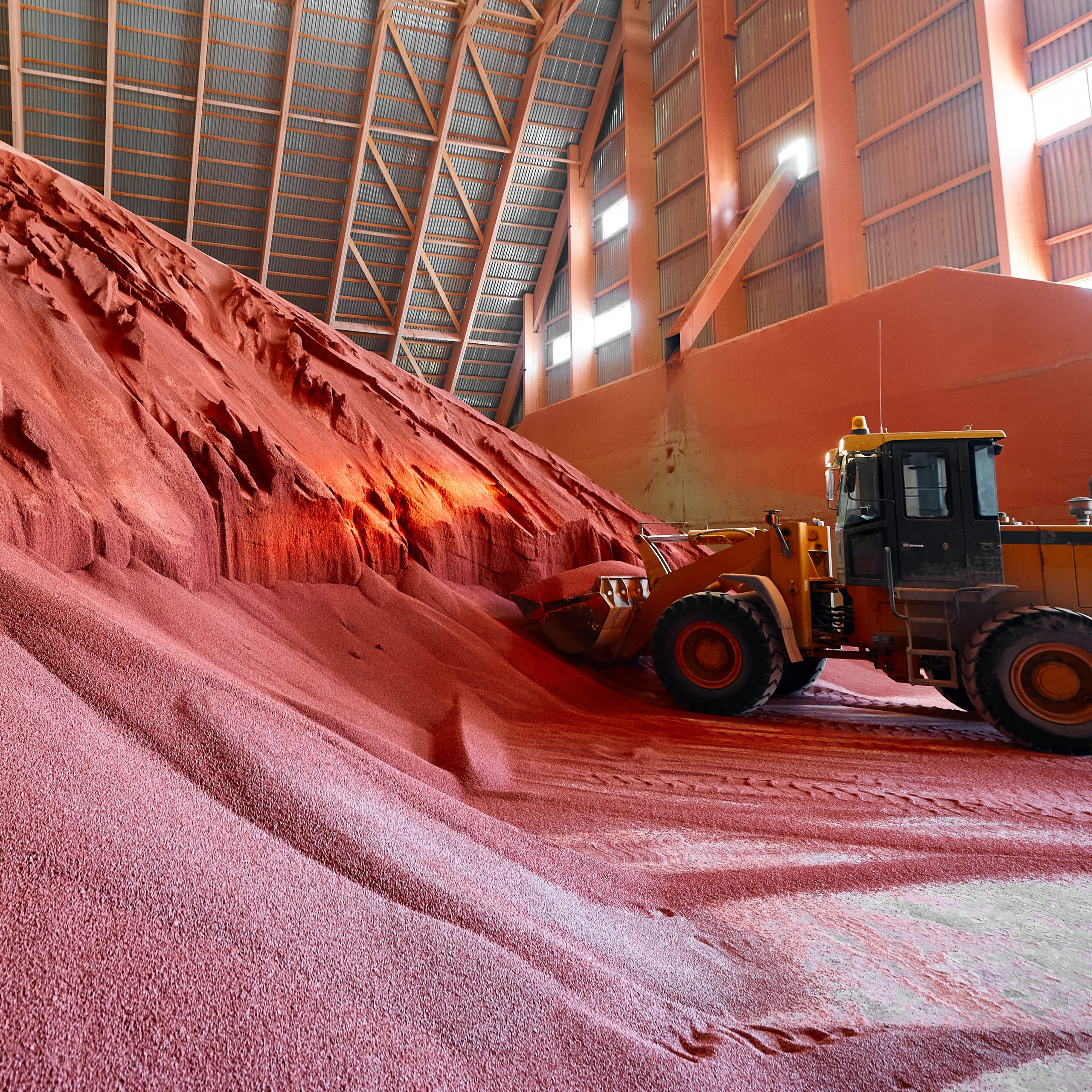 Excavator collects red potassium agricultural fertilizers in warehouse. Prepare chemical plant products for packaging. Mineral salt materials