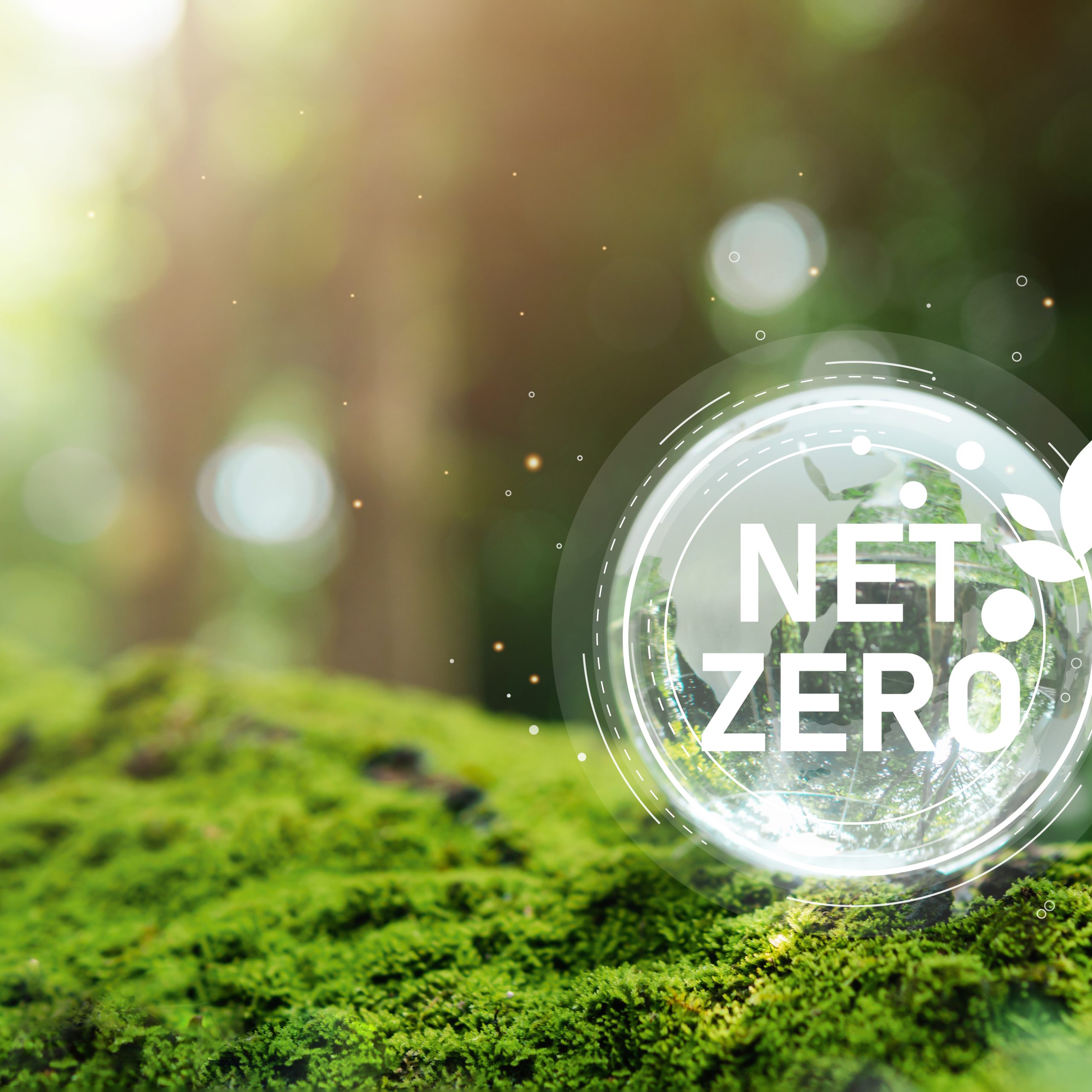Carbon neutral and net zero concept natural environment A climate-neutral long-term strategy greenhouse gas emissions targets Globe globe with green net center icon.