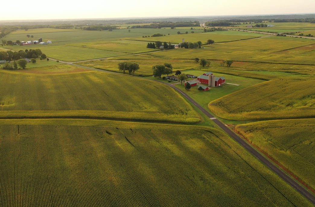 Aerial view of american Midwestern farm, corn field at harvesting season (September). Rural landscape, countriside, early sunny morning