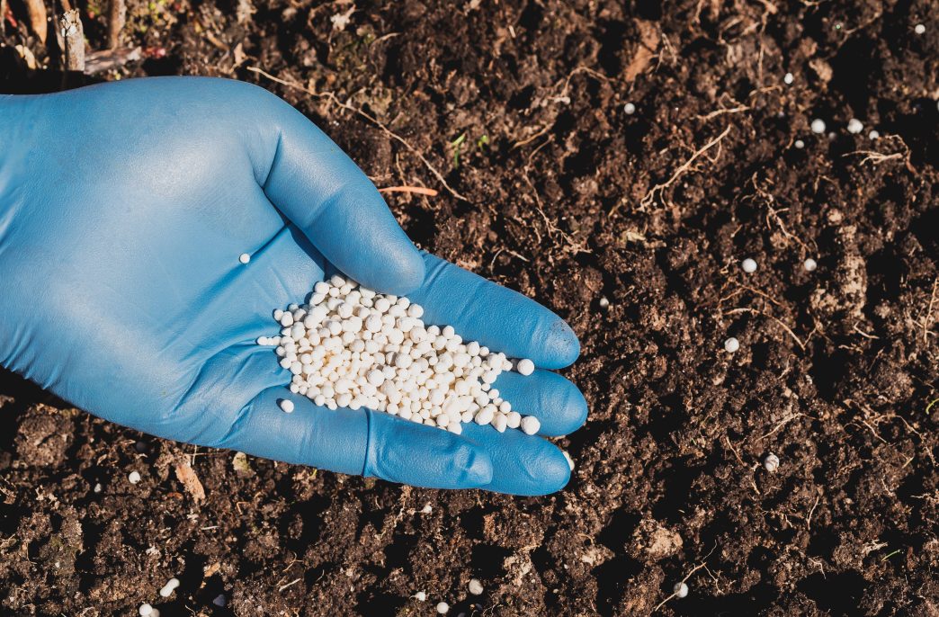 application of nitrogenous fertilizers in soil in early spring, plant care