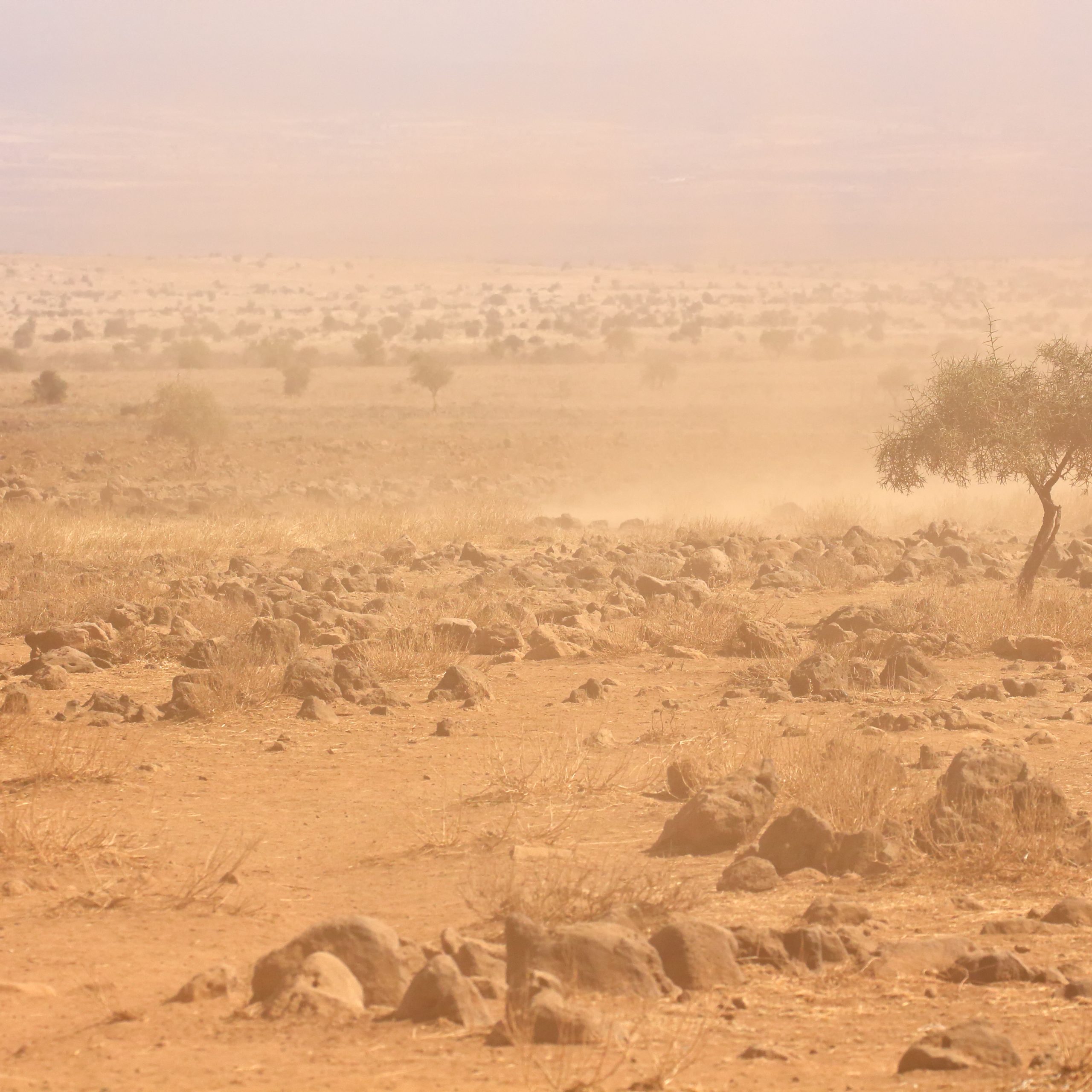 Barren plains with dust storm during a severe drought, Kenya
