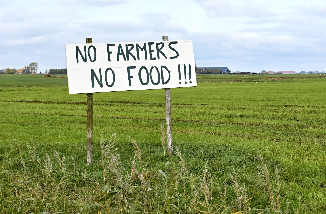 Sign in agricultural field with text No Farmers No Food. Farmers in the Netherlands protesting against forced shrinking of livestock because of CO2 and nitrogen emissions as measured bij the RIVM.
