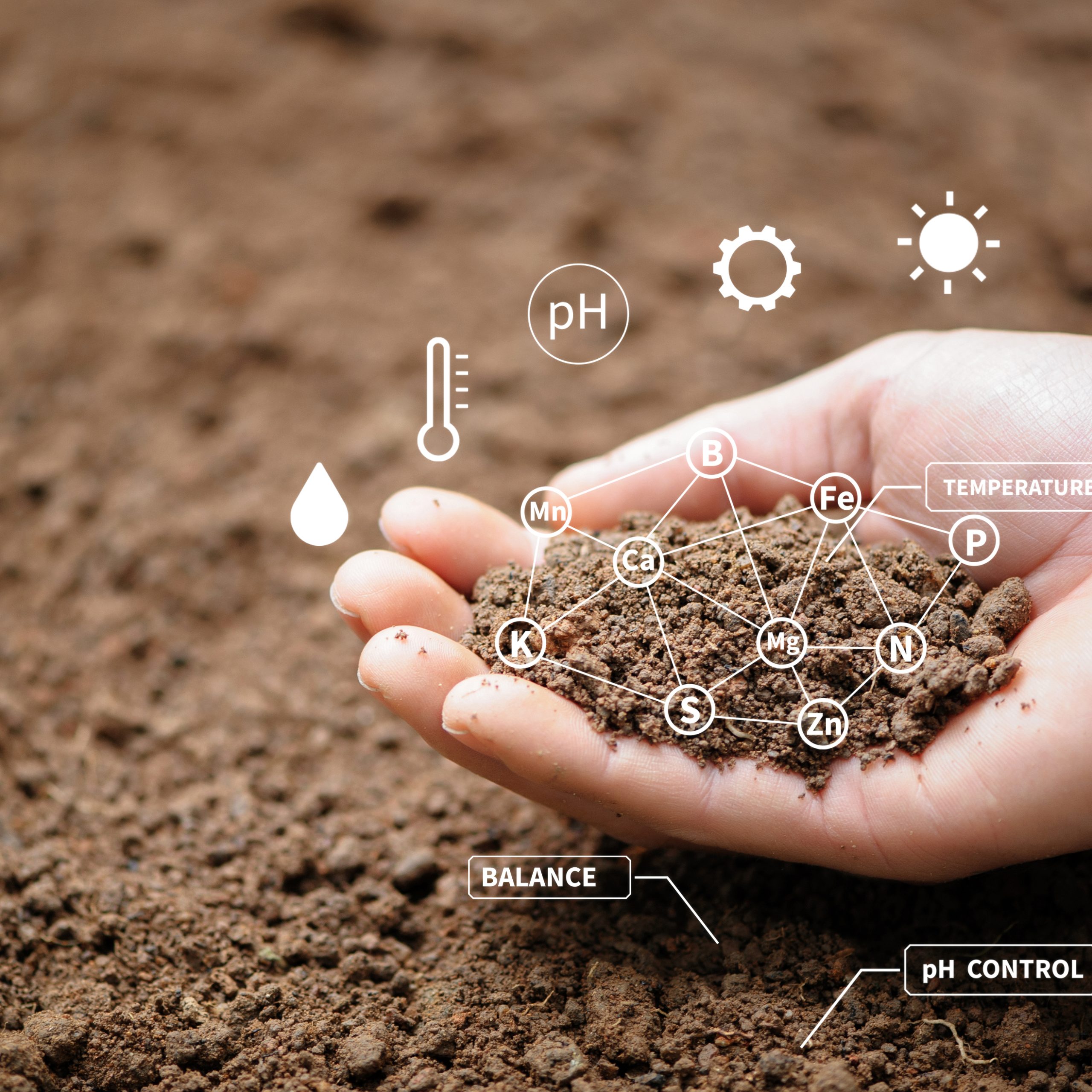 Top view of soil in hands for check the quality of the soil for control soil quality before seed plant. Future agriculture concept. Smart farming, using modern technologies in agriculture"n