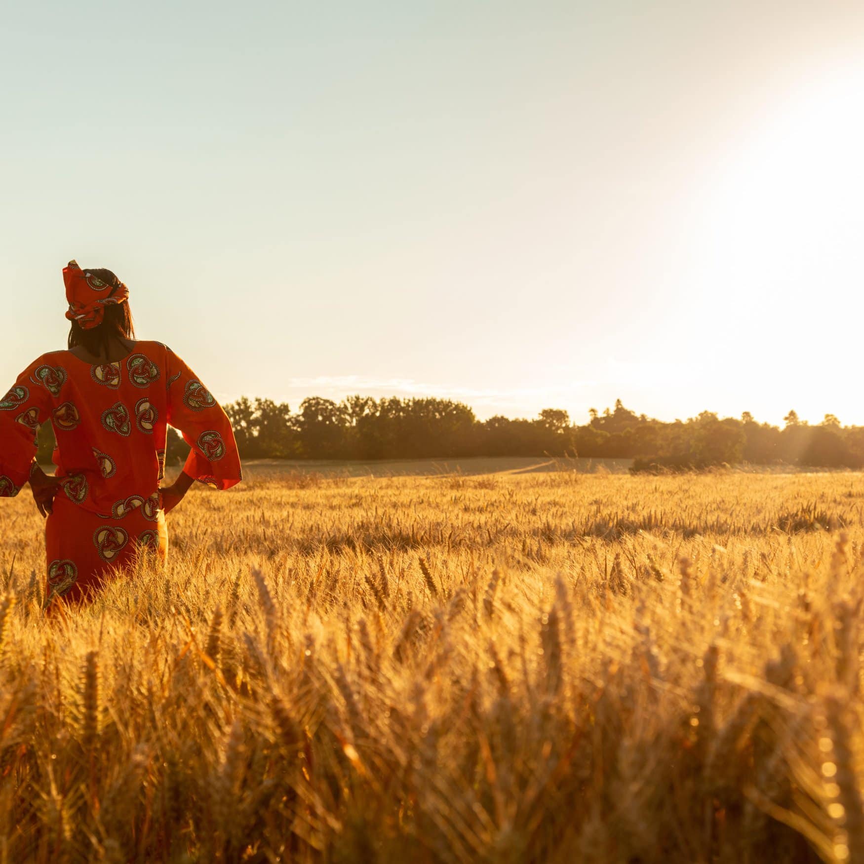 Kenyan Farmers Receive $2mn Boost For Fertilizer Access — Fertilizer Daily