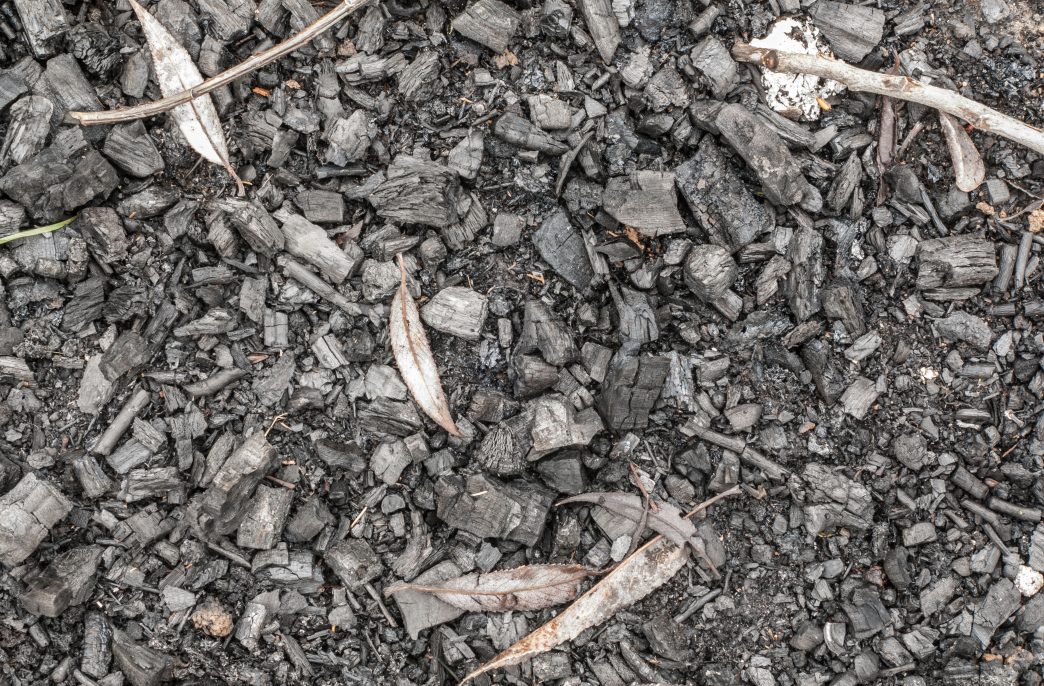 Black ashes or charcoal texture, background. Burnt firewood