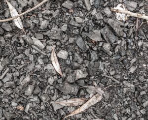 Black ashes or charcoal texture, background. Burnt firewood