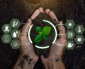 Smart farming holding young plant. Smart farming and precision agriculture 4.0, agriculture concept.