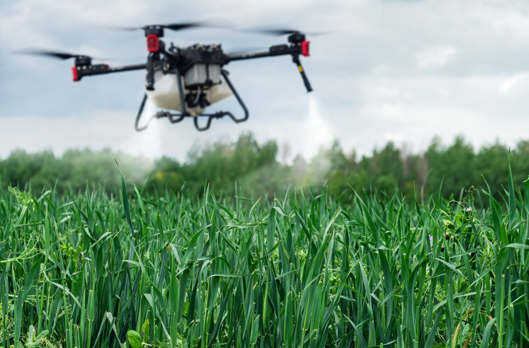 Agriculture drone against the background of blue sky and green fields with agricultural plants. drone for pollination of plants. Modern technologies in agriculture.