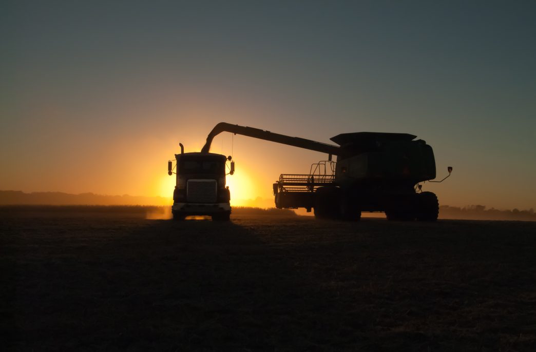 A combine,or harvester, silhouetted in the sunset, dumps soybeans into a semi tractor-trailer in a dusty soybean field