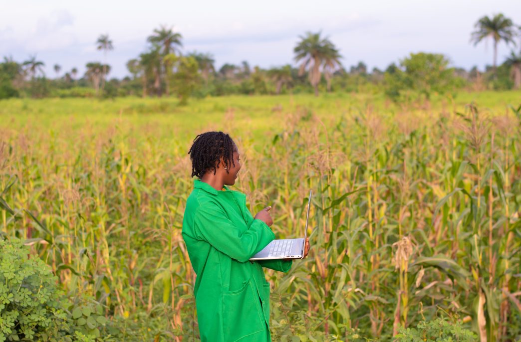An African female farmer using her laptop in the field