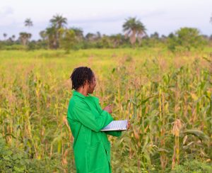 An African female farmer using her laptop in the field