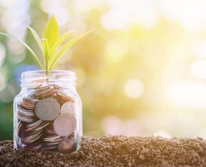 Plant growing from coins in the glass jar against blurred natural green background, sun light effect and copy space for investment, business, finance and money growth concept