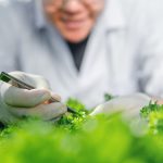 agriculture, nature, growth, science, researcher, eco, chemical, laboratory, farming, organic. agronomists check organic plant of result genome technology. researching new laboratory genetic biology.
